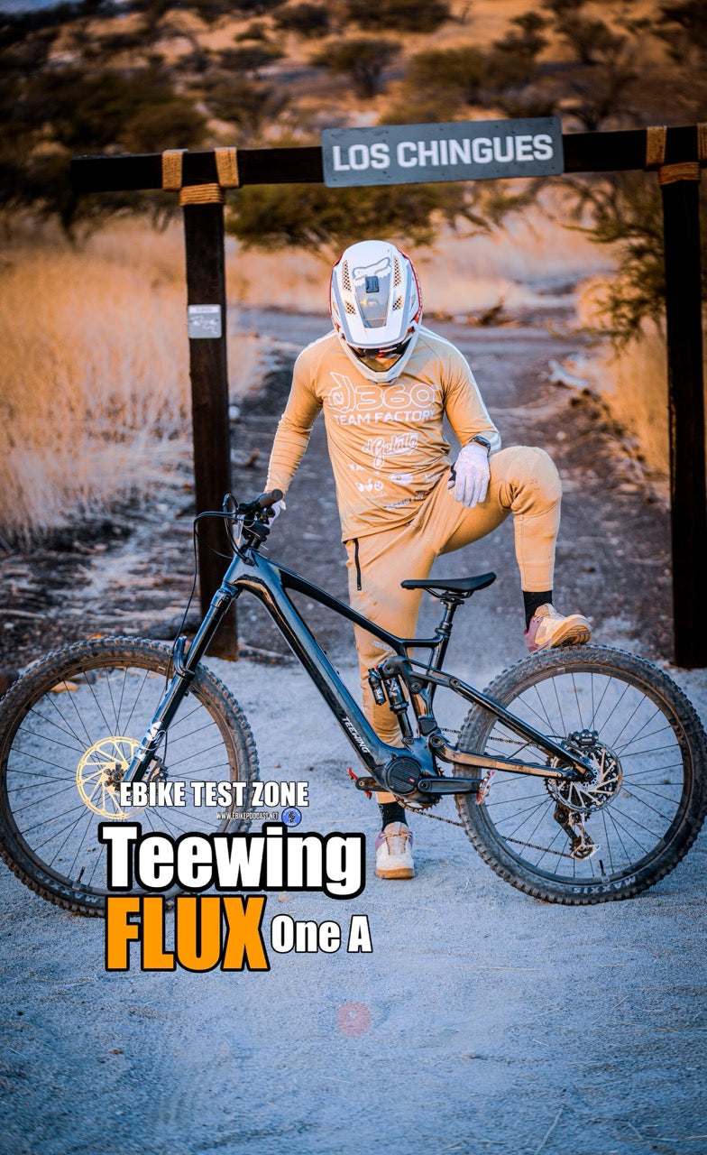 TEEWING - AVINOX M2s - Los Chinos llegan con todo a las E-Bikes ?